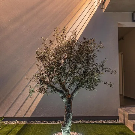 Apartment Melomi 1 *